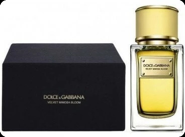 Dolce & Gabbana Velvet Mimosa Bloom Парфюмерная вода 50 мл для женщин