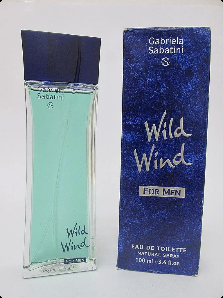 Gabriela Sabatini Wild Wind Туалетная вода 100 мл для мужчин