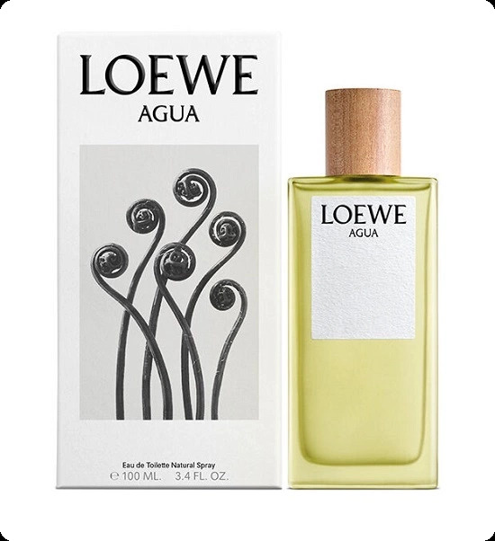 Loewe Agua de Loewe Туалетная вода 100 мл для женщин