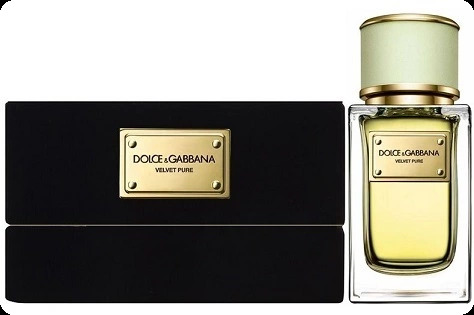 Dolce & Gabbana Velvet Pure Парфюмерная вода 50 мл для женщин
