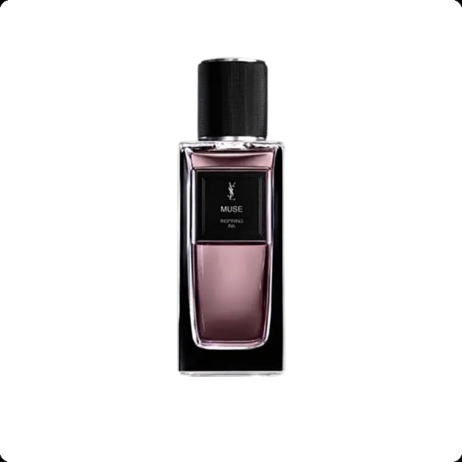 Ив сен лоран Мьюз инспиринг инк для женщин и мужчин