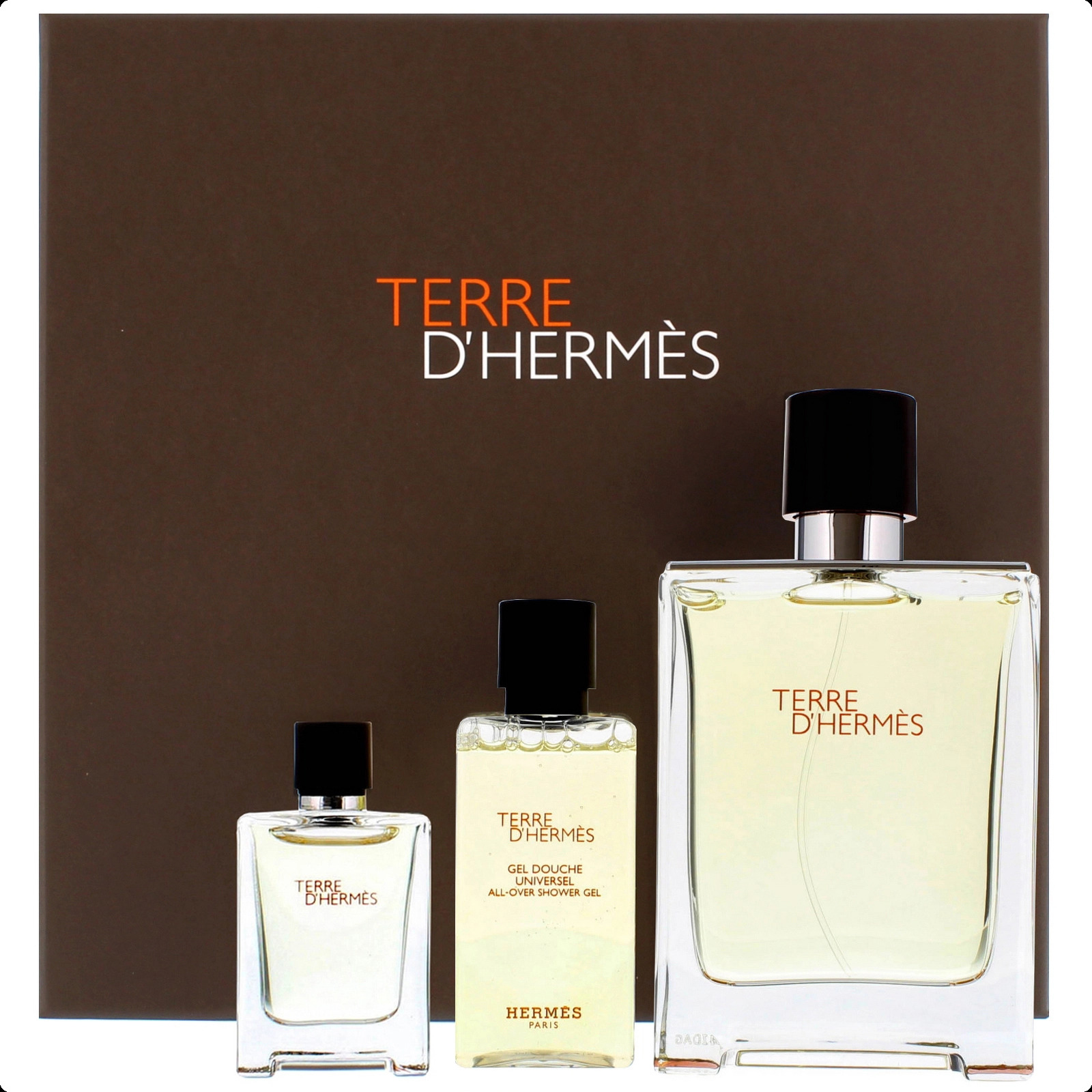 Hermes Terre D`Hermes Набор (туалетная вода 100 мл + туалетная вода 12.5 мл + гель для душа 40 мл) для мужчин