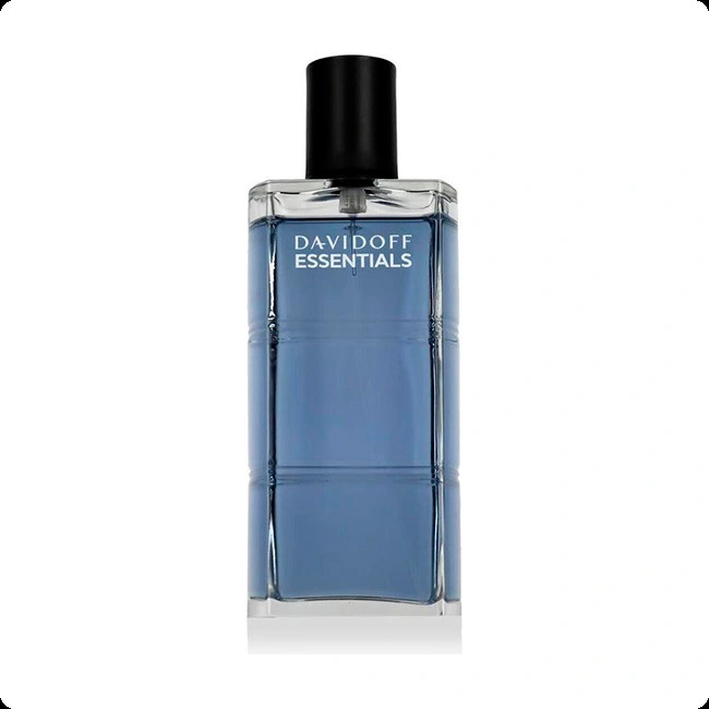 Davidoff Essentials Blue Туалетная вода (уценка) 110 мл для мужчин