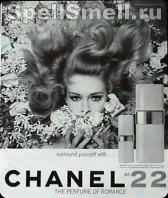 Шанель Шанель 22 для женщин - фото 1