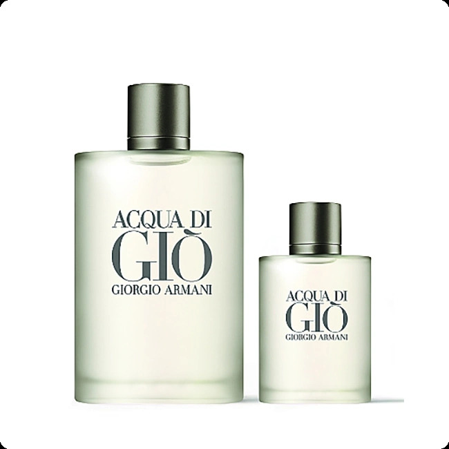 Giorgio Armani Acqua Di Gio Набор (туалетная вода 100 мл + туалетная вода 30 мл) для мужчин