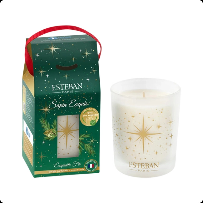 Esteban Exquisite Fir Свеча 180 гр для женщин и мужчин