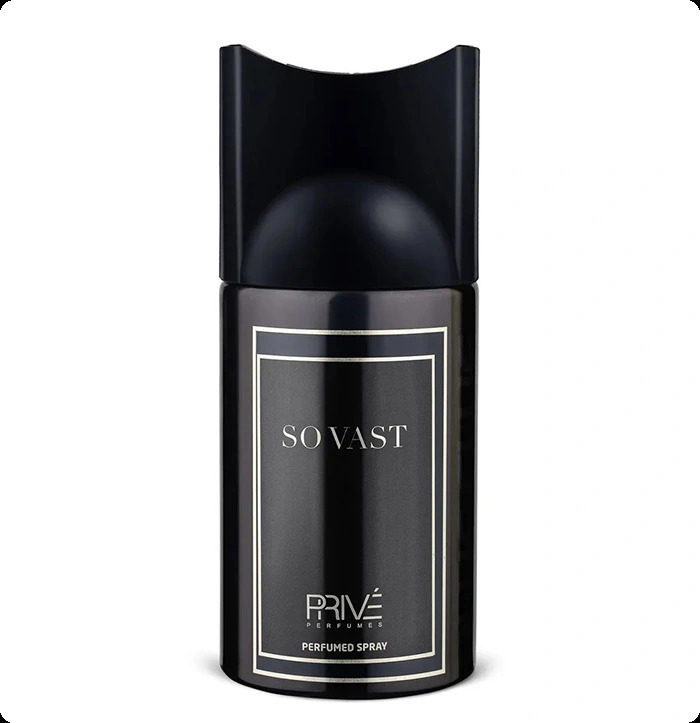 Прайв пефюмс Со васт для мужчин