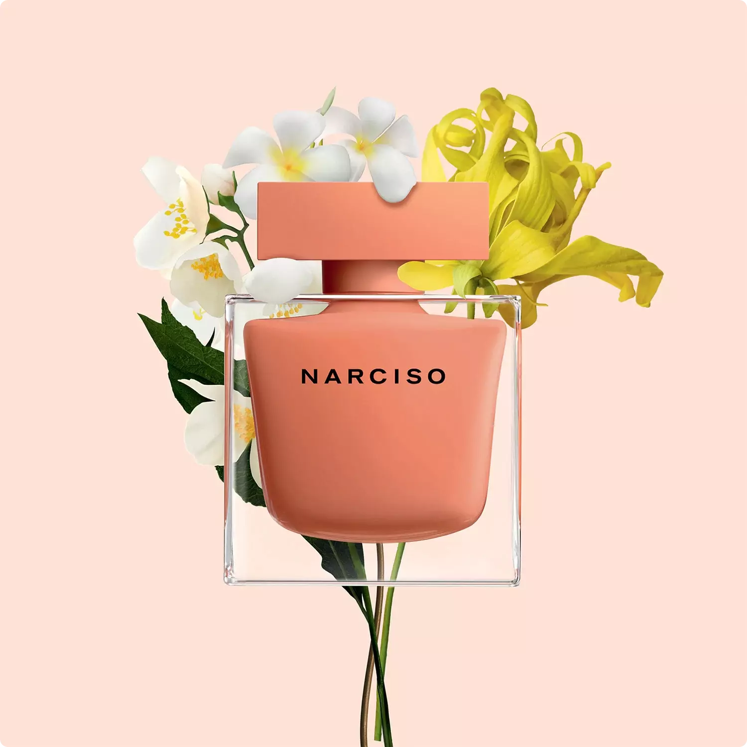 Narciso rodriguez narciso ambree