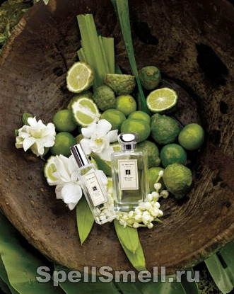 Джо малон Свит лайм энд кедр для женщин и мужчин - фото 1