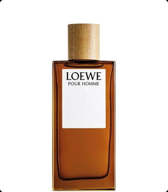 Loewe Loewe Pour Homme Туалетная вода (уценка) 100 мл для мужчин