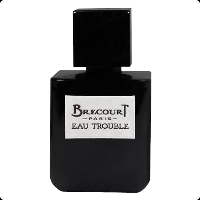 Brecourt Eau Trouble Парфюмерная вода 50 мл для женщин