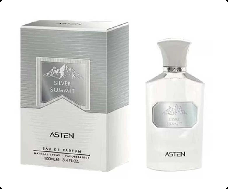 Астен Силвер саммит для мужчин