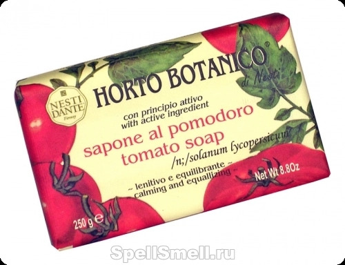 Нести данте Хорто ботанико томат для женщин
