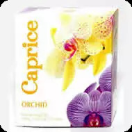 Парад звезд Каприз орхидея для женщин