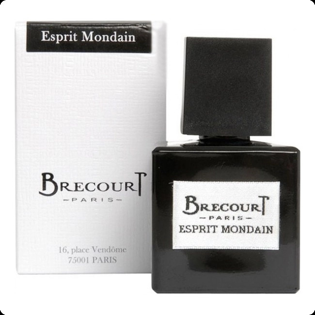 Brecourt Esprit Mondain Парфюмерная вода 50 мл для мужчин
