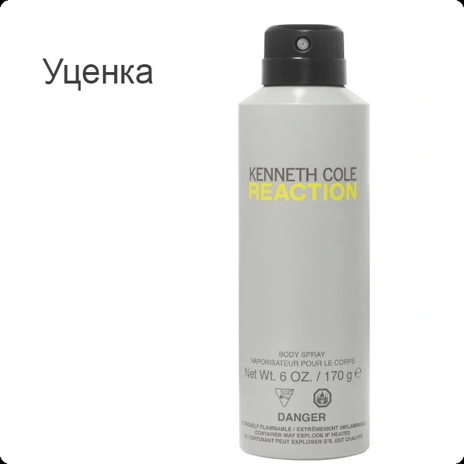 Kenneth Cole Reaction Спрей для тела (уценка) 170 мл для мужчин