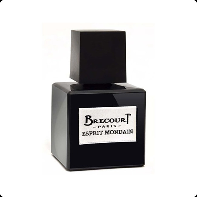 Brecourt Esprit Mondain Парфюмерная вода (уценка) 50 мл для мужчин