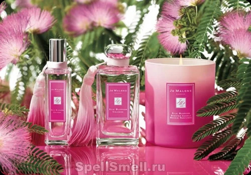 Джо малон Силк блоссом для женщин и мужчин - фото 1