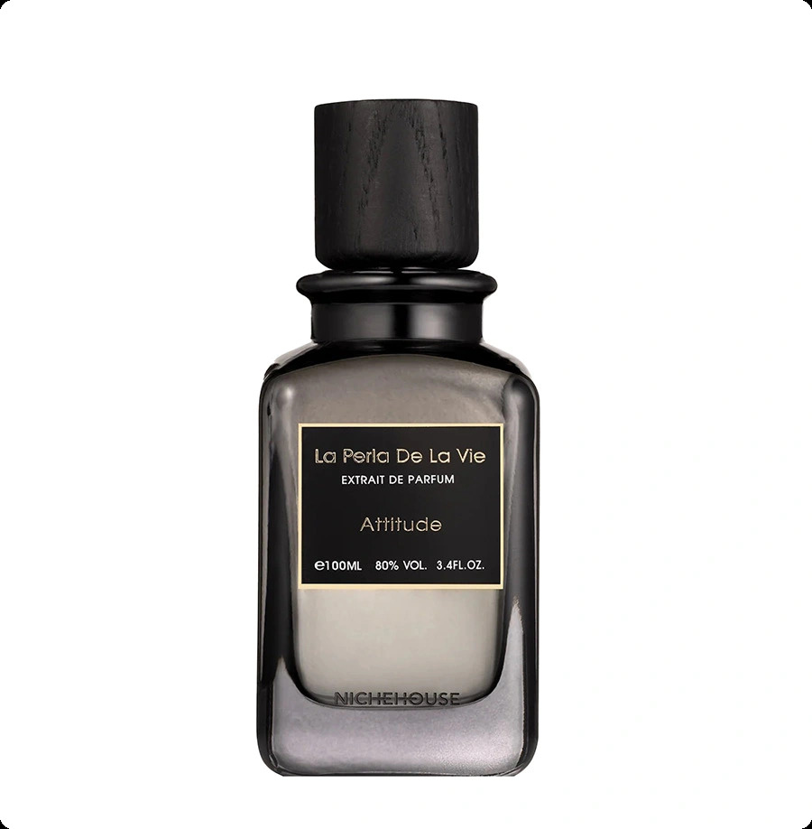 Ниш хаус Аттитьюд для мужчин