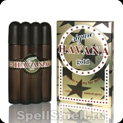 Позитив парфюм Гавана сигара голд для мужчин