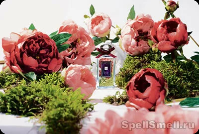 Джо малон Пион и мох для женщин - фото 1