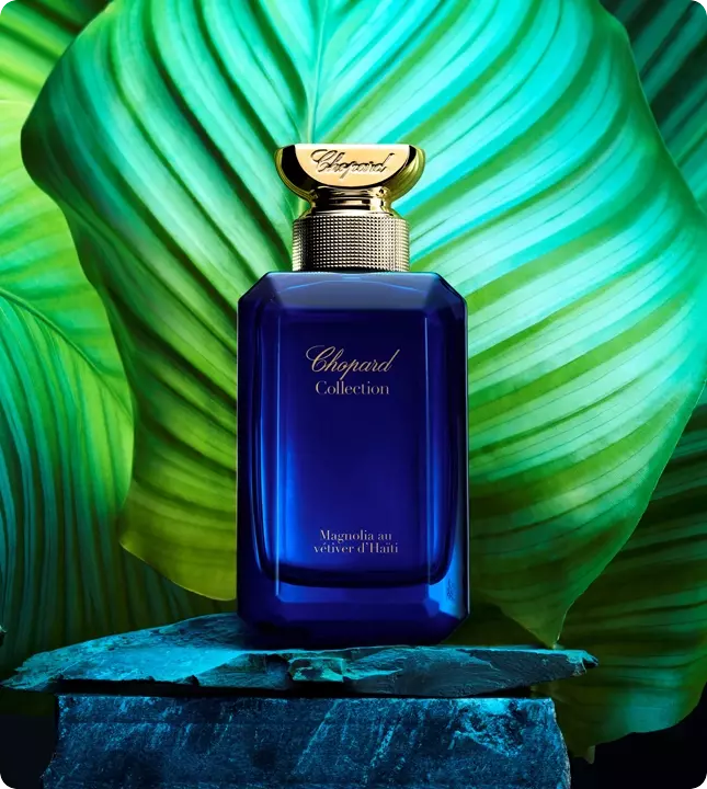 Фужерные духи это. Chopard Magnolia au Vetiver du Haiti. Chopard Vetiver d'Haiti. Chopard Vetiver d'Haiti au the Vert 100 ml. Chopard collection Vetiver d'Haiti au the Vert.