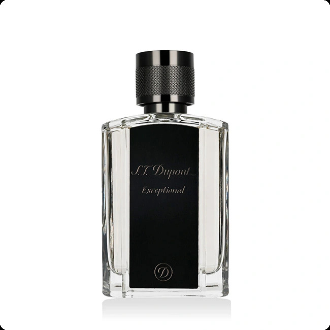 S.T. Dupont Exceptional Парфюмерная вода (уценка) 100 мл для мужчин
