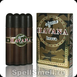 Позитив парфюм Гавана сигара брава для мужчин