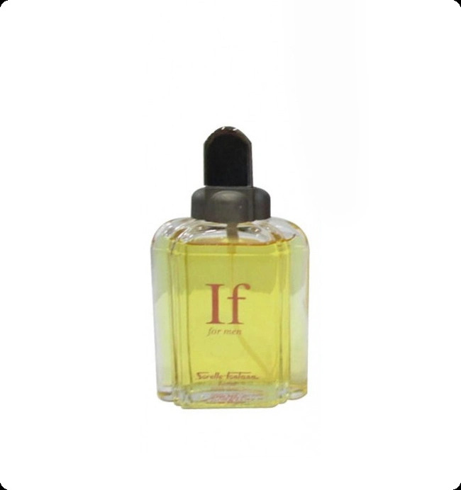 Sorelle Fontana If for Men Парфюмерная вода (уценка) 100 мл для мужчин