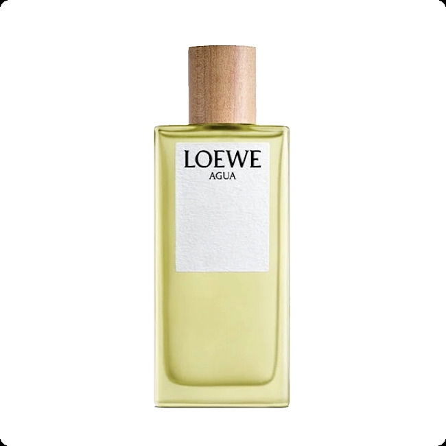 Loewe Agua de Loewe Туалетная вода (уценка) 100 мл для женщин