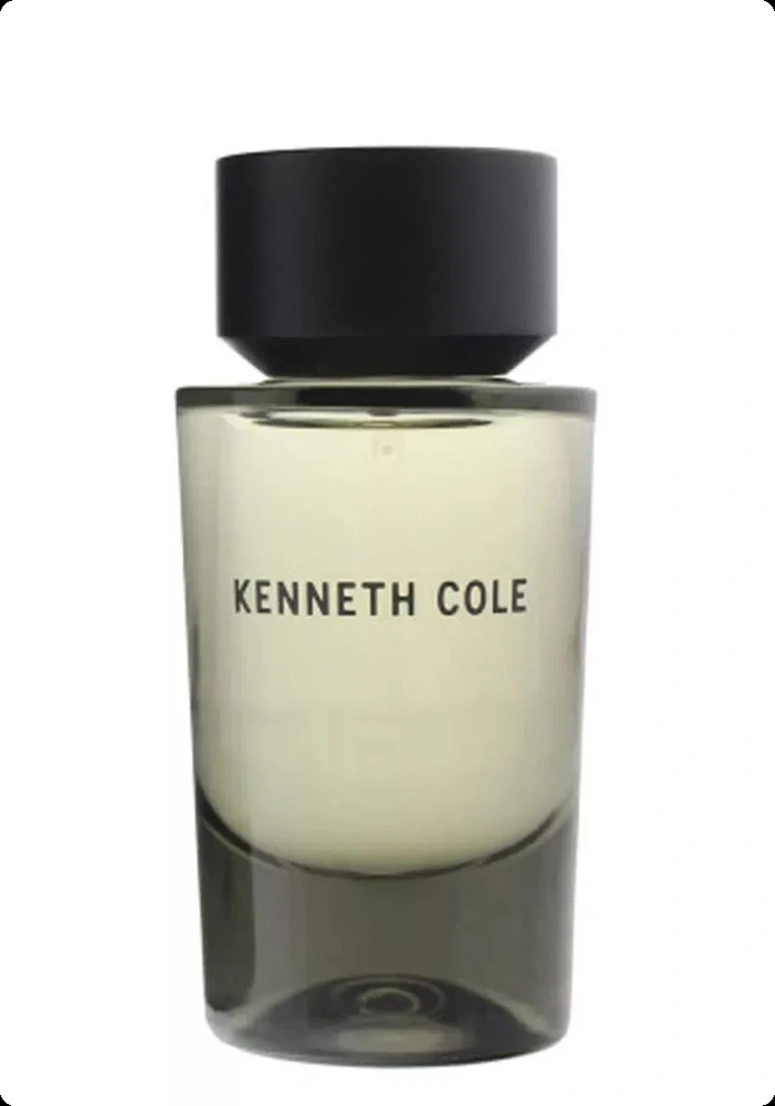 Kenneth Cole Kenneth Cole for Him Туалетная вода (уценка) 50 мл для мужчин