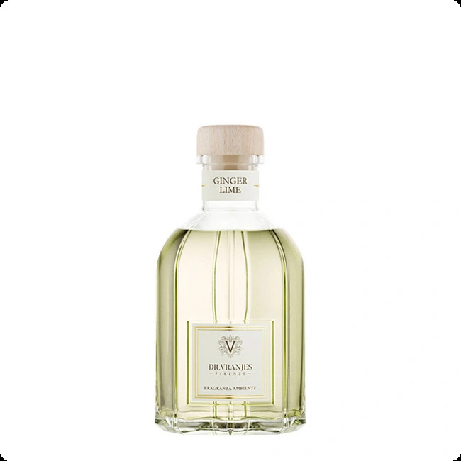 Dr Vranjes Ginger Lime Диффузор 500 мл для женщин и мужчин