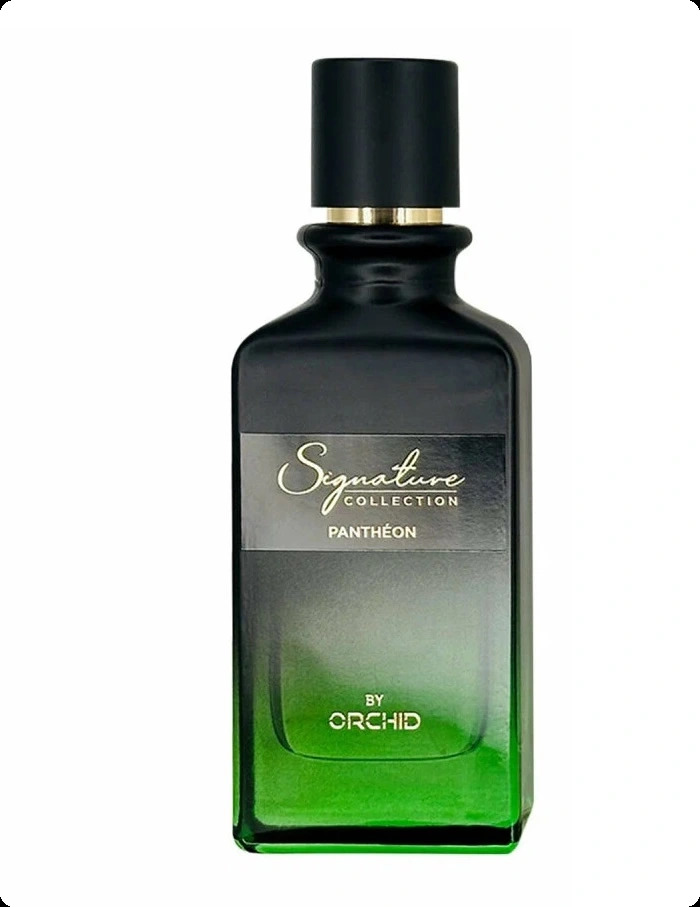 Бай оркид Пантеон для женщин и мужчин