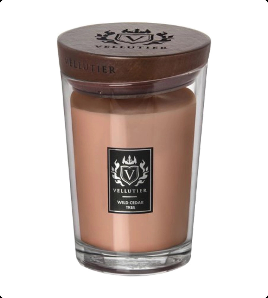 Веллютье Дикий кедр для женщин и мужчин
