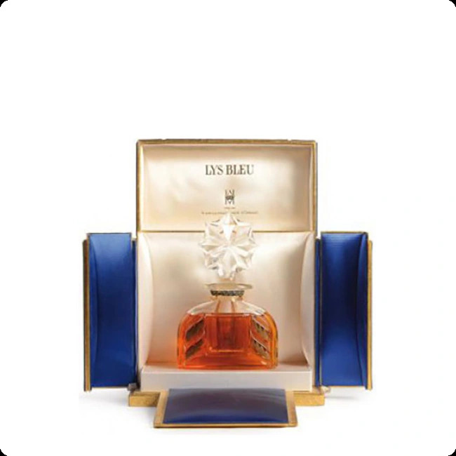 Принц генри д орлеан Лиз бле для женщин