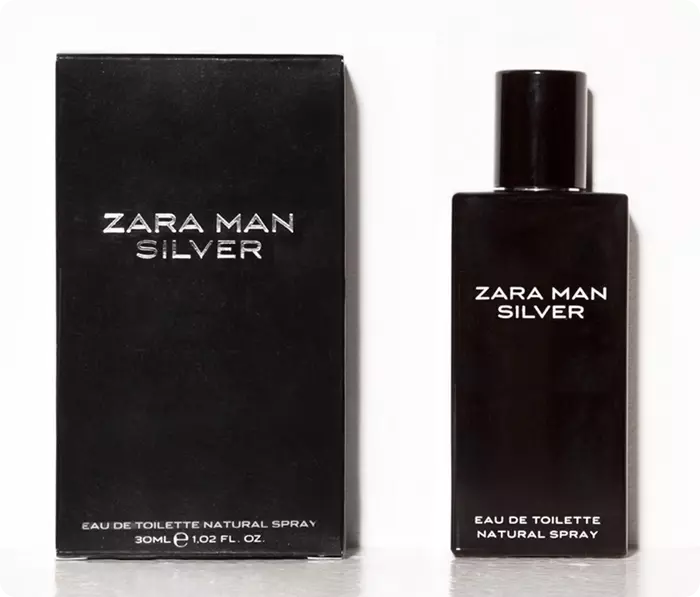 silver zara man
