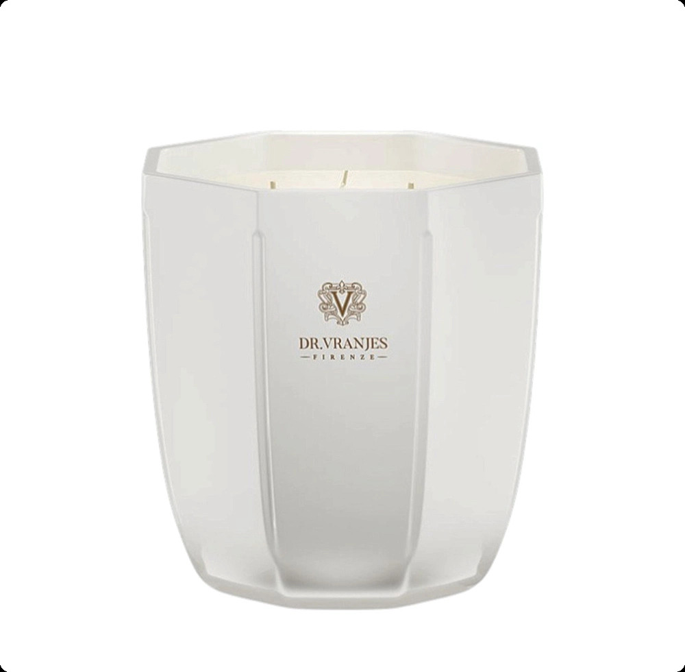 Dr Vranjes Ginger Lime Свеча 3000 гр для женщин и мужчин