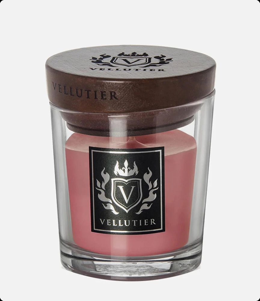 Веллютье Суккулент пинки грейпфрут для женщин и мужчин