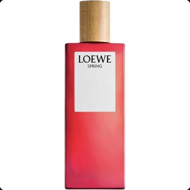 Лоеве Спринг для женщин и мужчин