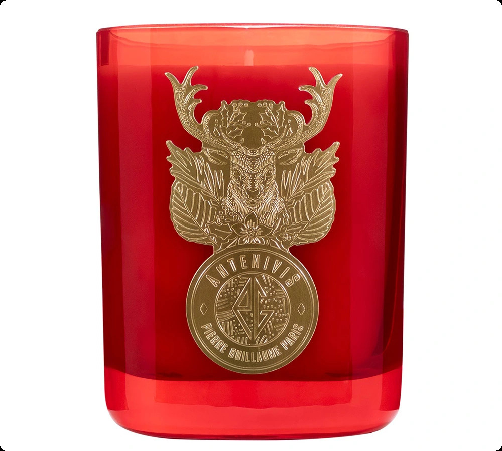 Пьер гийом Антенивис для женщин и мужчин