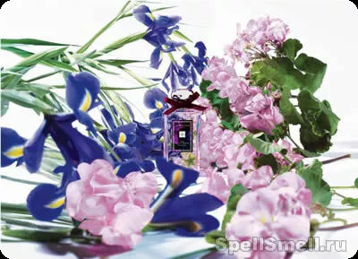 Джо малон Ирис и леди мур для женщин - фото 2