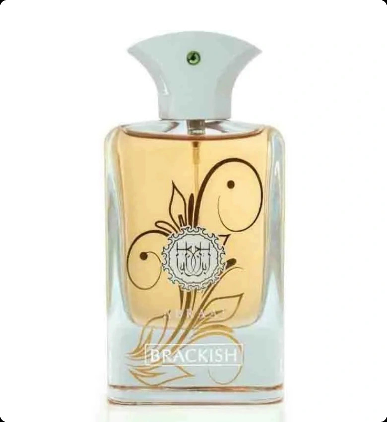 Фрагранс ворлд Абраадж бракиш для мужчин