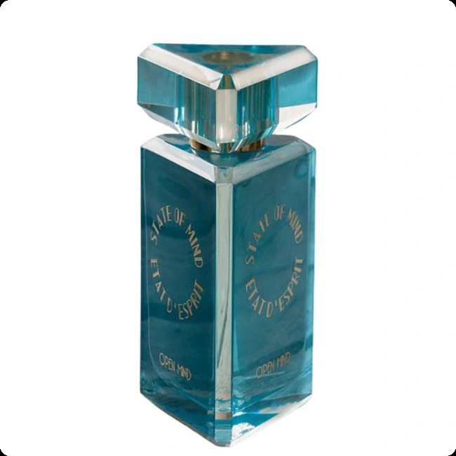 State of Mind Open Mind Парфюмерная вода (уценка) 100 мл для женщин и мужчин