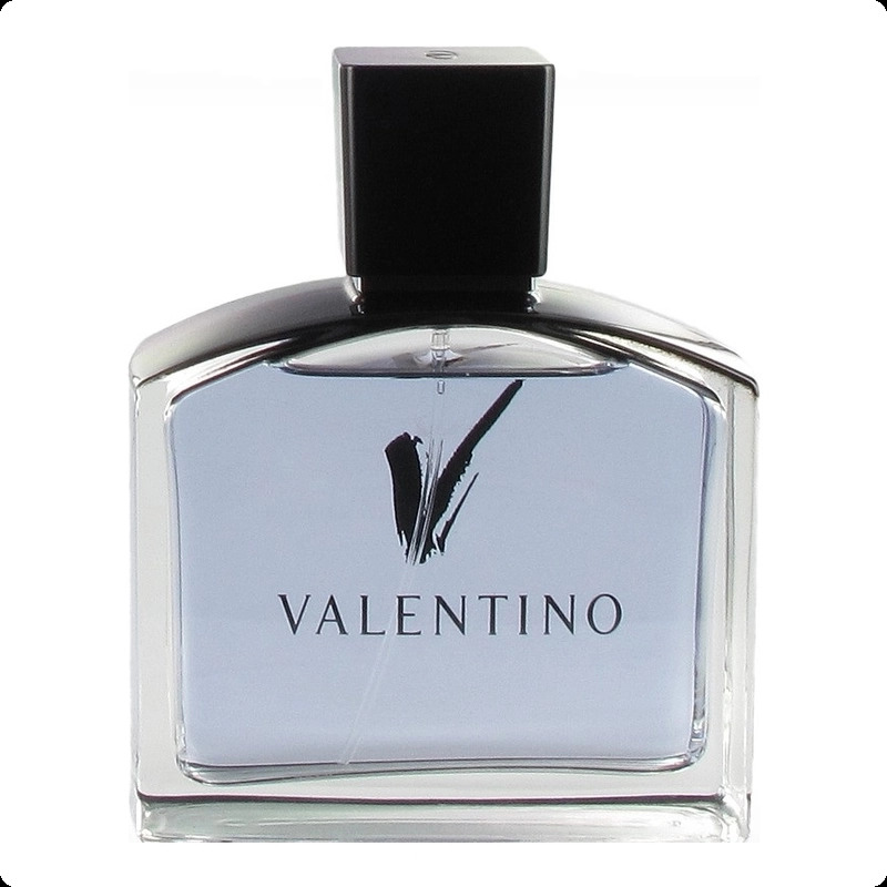 Valentino V Pour Homme Туалетная вода (уценка) 100 мл для мужчин