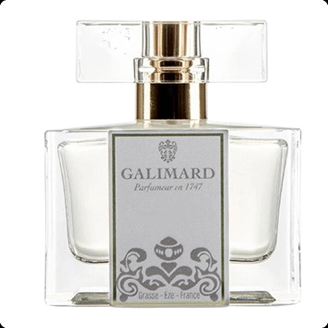 Галимар Ун хивер грассе для женщин и мужчин - фото 1