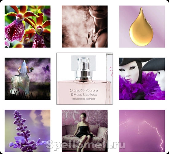 Лес парфюм суспендос Пурпурная орхидея и пьянящий мускус для женщин - фото 1