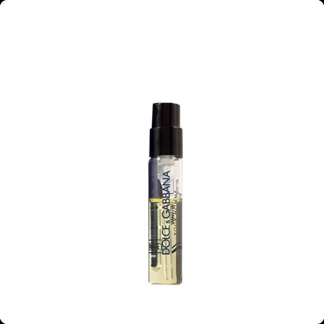 Миниатюра Dolce & Gabbana Dolce and Gabbana Pour Homme Intenso Парфюмерная вода 2 мл - пробник духов