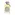 Латтафа Раэд сильвер