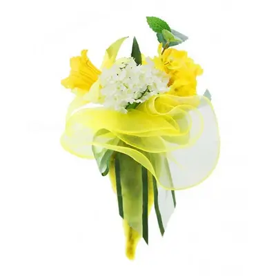 Новая заря Мимоза для женщин