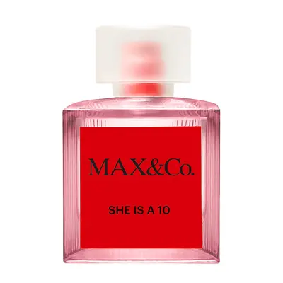 Макс энд ко Ши из э 10